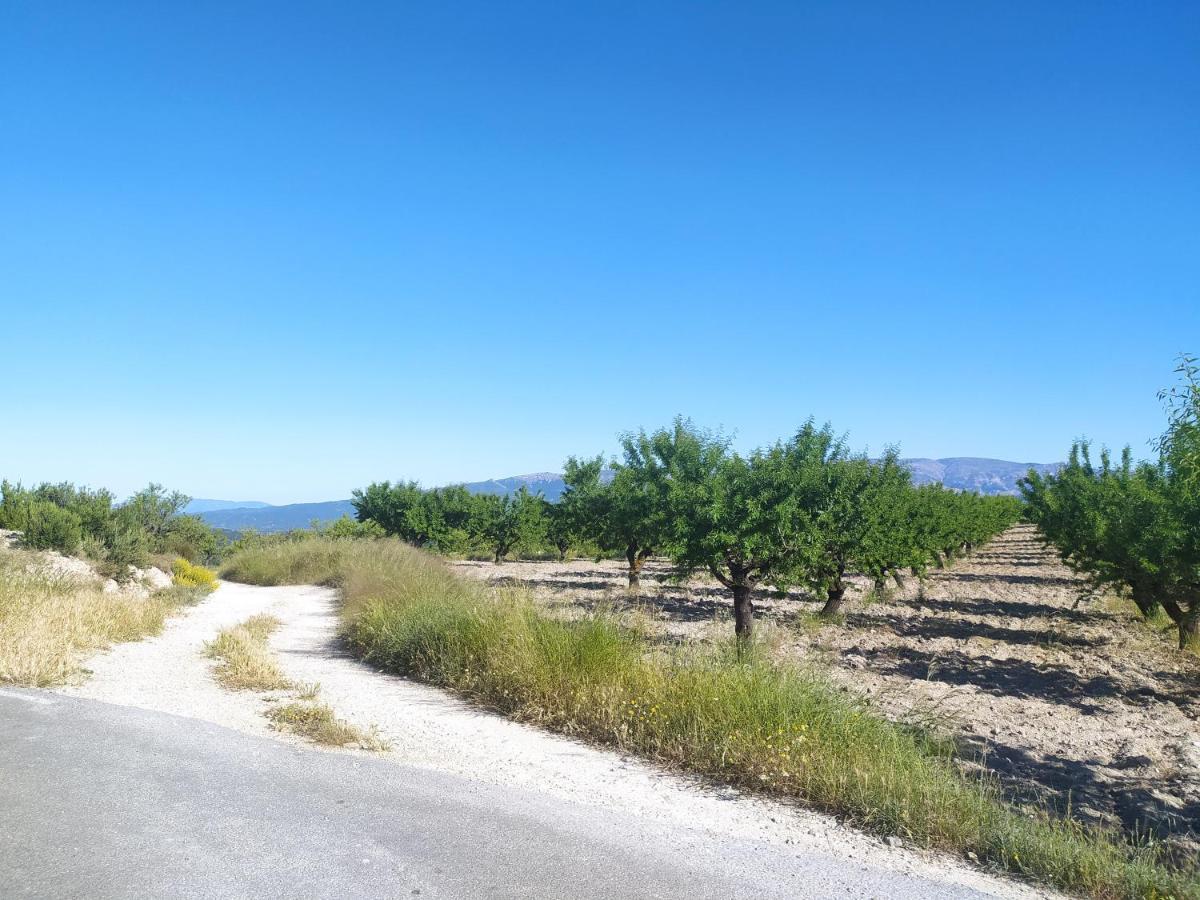 Habitaciones En Finca Olivo Y Almendro Ucenda 외부 사진