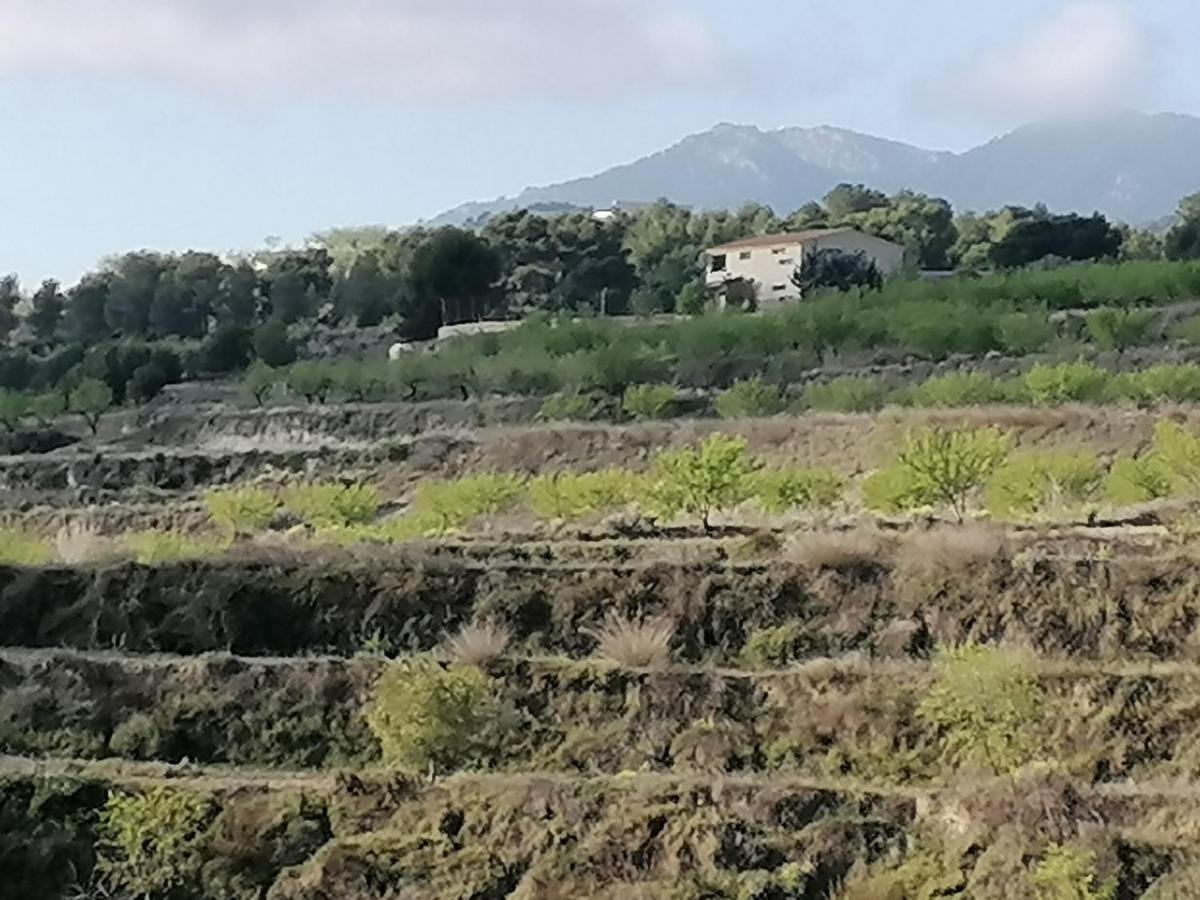 Habitaciones En Finca Olivo Y Almendro Ucenda 외부 사진